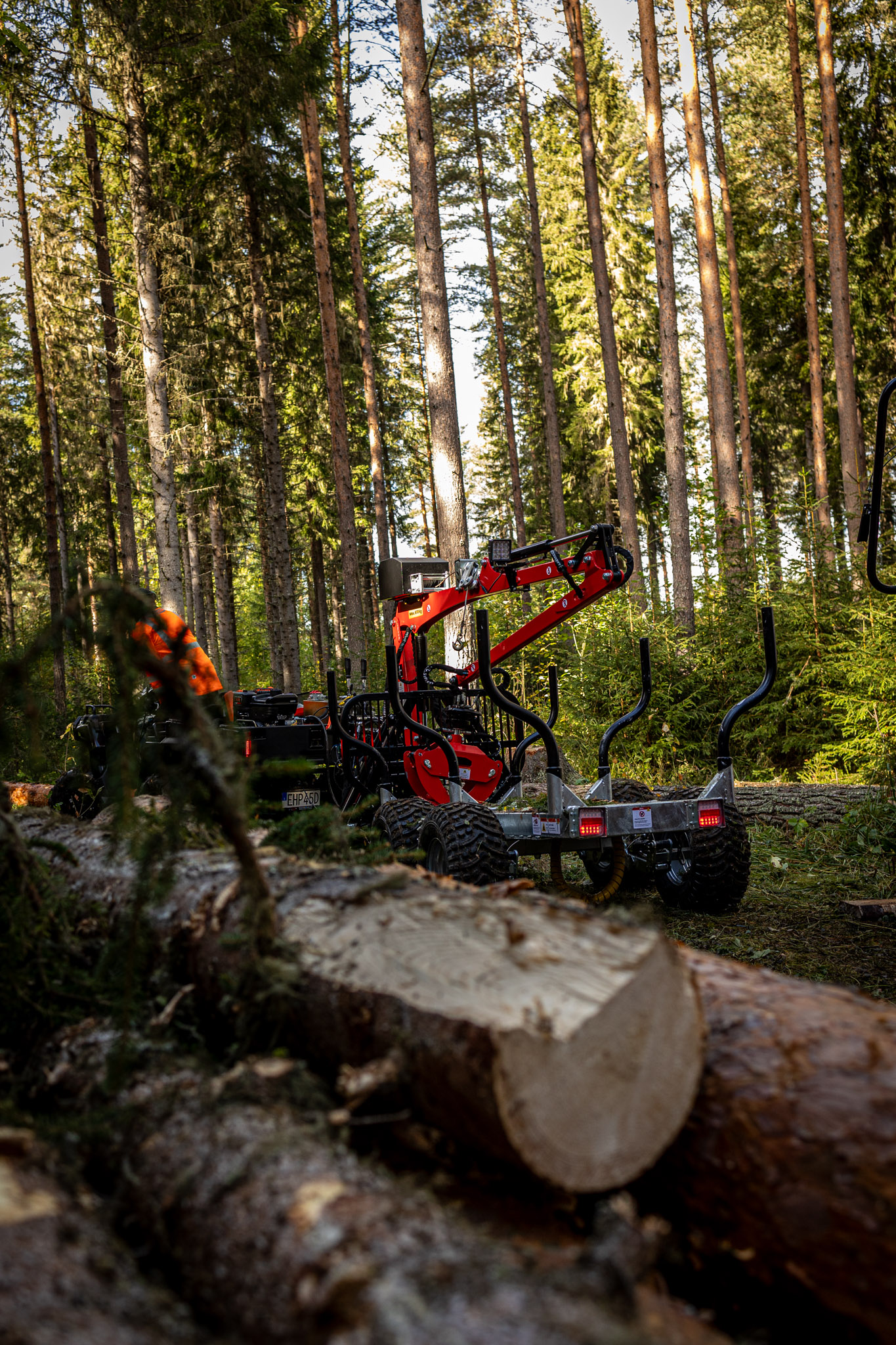 timmervag-skogsverket-stockhantering-skog-timmer
