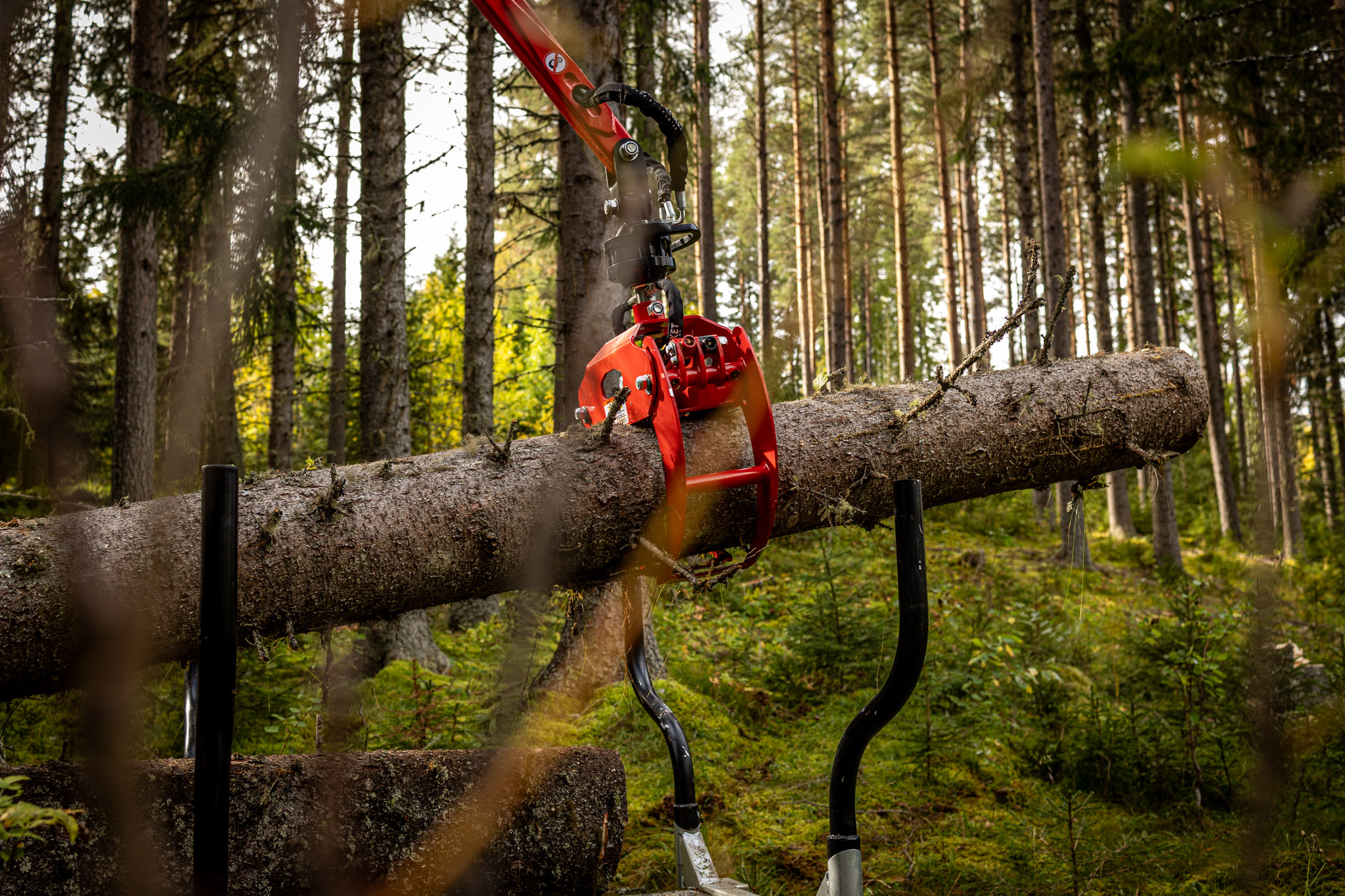 timmervagn elm-skog-skogsverket